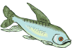 poisson_65